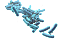 是曦禾禾啊采集到A-成分、分子、精华、微生物