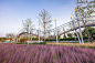 杭州萧山无界公园 Gravity is unbounded-Hangzhou Xiaoshan Unbounded Park / 广亩景观 – mooool木藕设计网
