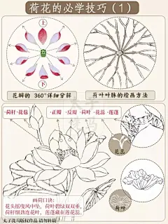 国画入门｜荷花的必学技巧（1）简单好学‼️
