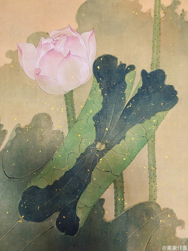 画家任重的画室墨云舘植莲初绽偶然漫设付与佳人