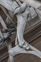 Skulls & Bones (334)