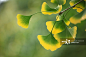 创意图片素材 - E+
