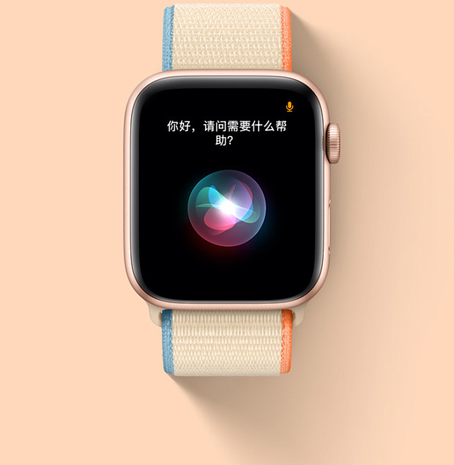 Apple Watch SE : App...