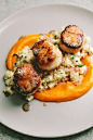 Seared Scallops with Quinoa and Apple Salad + Butternut Squash Puree // <a href="http://www.athoughtforfood.net" rel="nofollow" target="_blank">www.athoughtforfo...</a>