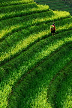 阳光永远爱菠萝采集到风景