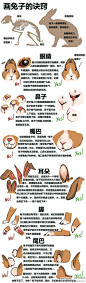 文章-【转载】【如何绘制出兔纸】 | 半次元-发现你身边的同好