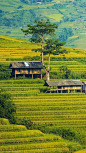 (3248) Pinterest