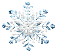 钩编雪花黑色背景白色和蓝色元素树叶和树枝对称图案-黑色背景上的钩编雪花与白色和蓝色元素