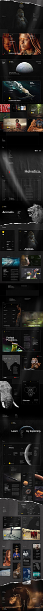 National Geographic World Changing Intuitive Websi by 国外WEB灵感 - UE设计平台-网页设计，设计交流，界面设计，酷站欣赏