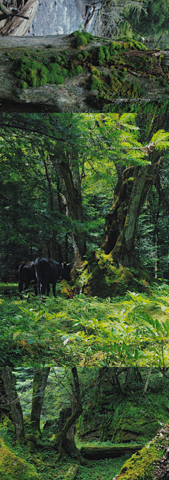 老蚊公采集到风景 山脉 山峰