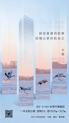 海报 房地产 二十四节气 大寒 飞鹤 简约 创意