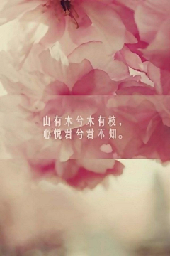 Sweet_Dream采集到❤你是我纯白时光最美好的想念