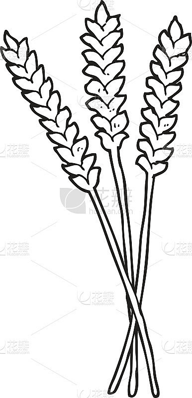 黑白卡通小麦