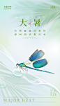 大暑节气简约大气海报