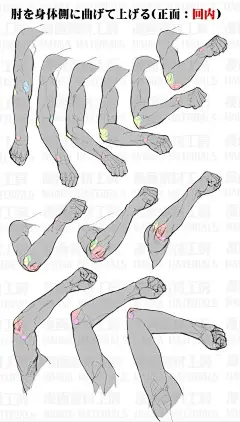 手臂参考｜肌肉/多角度/关节/手肘 - 小红书