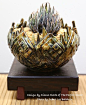 Got a Pot? Elevate it! This pot looks like a perfect match for this haworthia. The elevated stand shows it off to its full potential.