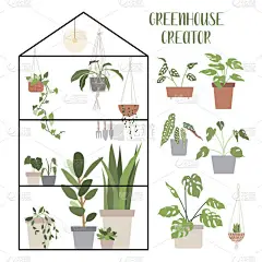 温室生物。有室内植物和盆栽的大集合。植物园的概念，家庭园艺。手绘矢量图以平面卡通风格.完美的海报，贴
