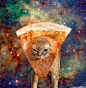 34 Cats Who Know It's Better In Space