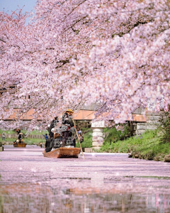 闲潭梦落花采集到攒钱去旅行好不好