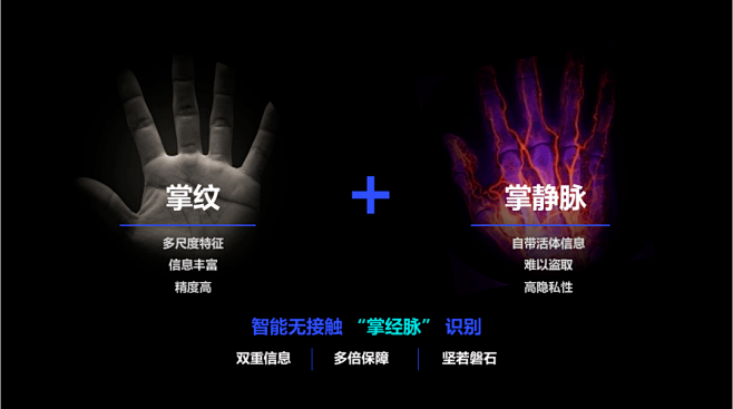 掌经脉识别——揭开掌心里的秘密_静脉_特征_掌纹 : 除了蕴含丰富的特征信息，掌纹和掌静脉对每个人来说都具有唯一性和持久性，因此可以用于身份 ...