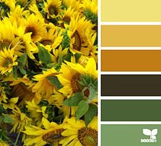 color配色方案