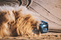 SEAT Tarraco Surfing in the Desert : Seat Terraco Desert camp in Morocco