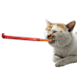 006Ufzixly1hkhpkihic6g30hs0hswhq
