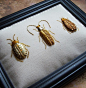 Goldwork Beetle. I am really loving insects at the moment!: 