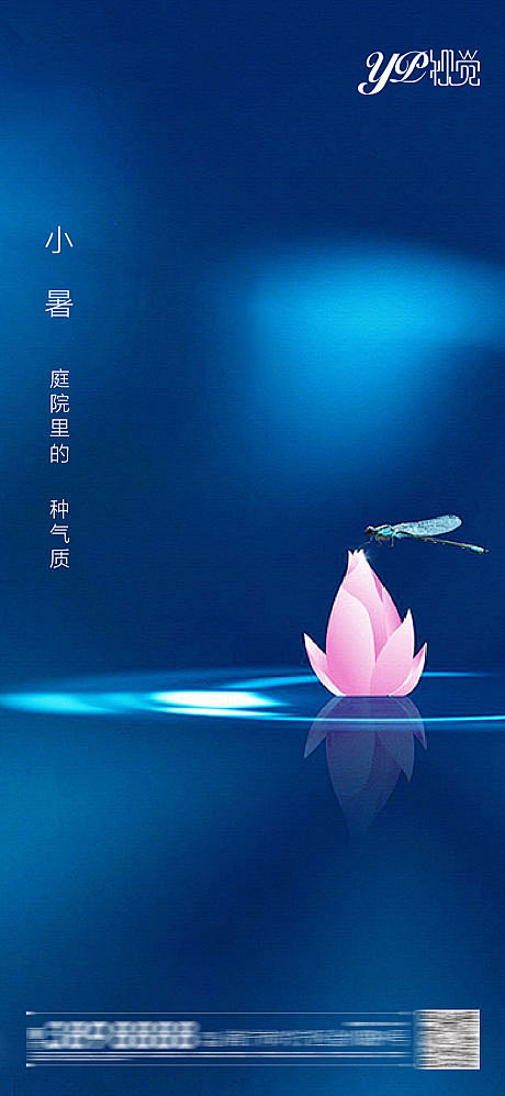 地产小暑节气海报