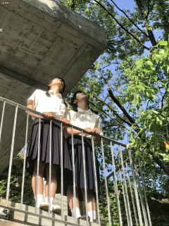 VniY4pIh采集到创意构图