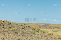 草原。无树，湿气差和一般平坦的地区有草的植被在干燥地带。草原,草原,草原
