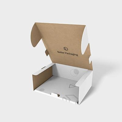 包小盒内衬插锁异型飞机盒3d效果图