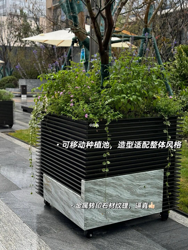 jpg,221x295 像素