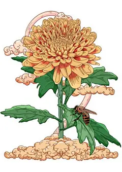 菊花插画_360图片