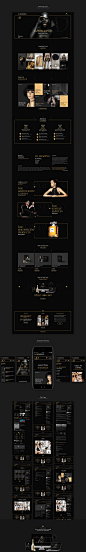 Aphrodite — Luxury WordPress Theme : Aphrodite is a website for premium products and services. Gold textures and colors on the black background will help you to create a royal atmosphere for your brand. The original smooth animations created by a professi