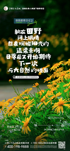 柚柚柚-采集到文旅
