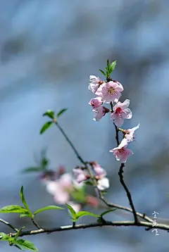 杭州宋乐天的照片 - 微相册
