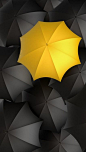 The Yellow Umbrella: 