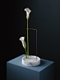 Carl Kleiner x Bloc Studios for ‘Posture Vases’ | Trendland : For the next part of ‘Posture’ series, photographer Carl Kleiner collaborated with Carrara-based Bloc Studios to create these beautiful ‘Posture Vases’. Arranged like Ikebana, the upside down f