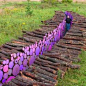 Beautiful environmental art installations using strategically placed painted sticks, logs, grocery bags, and other tools.: 