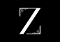 ZEE : China Shijiazhuang high-end home museum，2013.