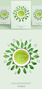 清新绿茶海报PSD模板Green tea product posters template#ti336a1602 :  