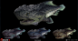 MP_Exhibit Marine Life, Nikolay Georgiev : I had the pleasure of working on some marine life concepts for our map Exhibit. These designs, apart from the shark concept, were all started by Braydan Barrett, so they are essentially built on top of already gr