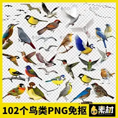 海鸥白鸽鸽子飞雁飞鸟鹦鹉剪影手绘小鸟类ps免抠png图片设计素材-淘宝网