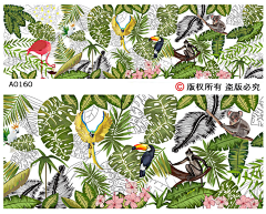 summer7777采集到壁纸
