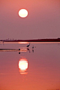 A Serene Sunrise by Kausthub Desikachar - Kovalam, Tamil Nadu, India.