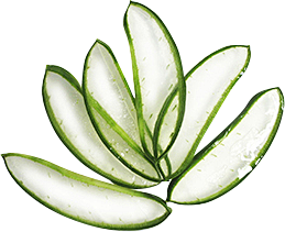 植物性成分