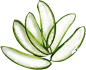 植物性成分