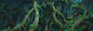The Tree House -Movie concept art Part 08