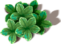 Green leaf PNG